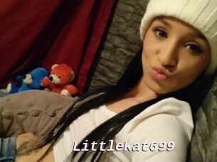 LittleKat699