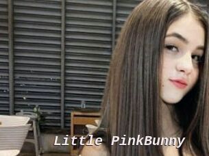 Little_PinkBunny Live Camgirls Sex