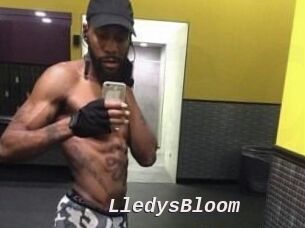 Lledys_Bloom