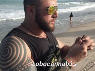Lobocannabis