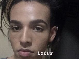 Lotus