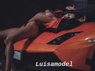 Luisamodel