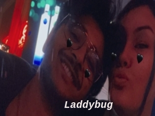 Laddybug