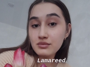Lamareed
