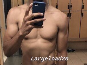 Largeload20
