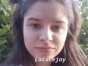 Laricejoy