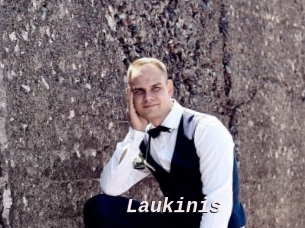 Laukinis