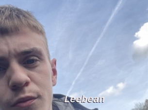 leebean Live Camgirls Sex