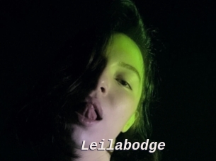 Leilabodge