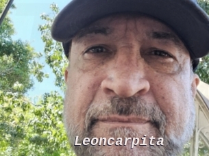 Leoncarpita