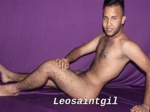 Leosaintgil