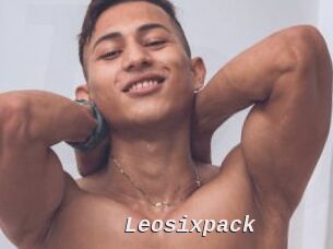 Leosixpack
