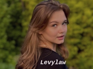 Levylaw