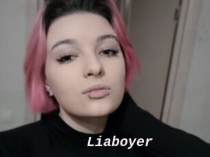 Liaboyer