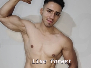 Liam_forest