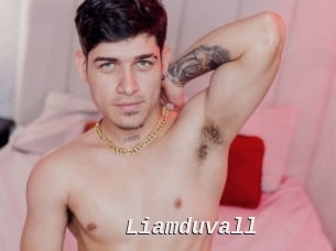 liamduvall Live Camgirls Sex