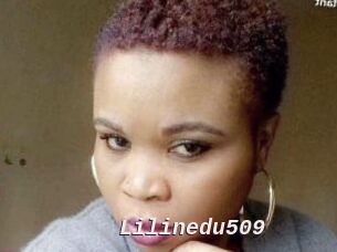 Lilinedu509
