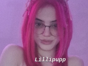 Lillipupp