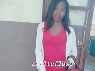 Lillteflower