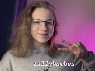 Lillybambus