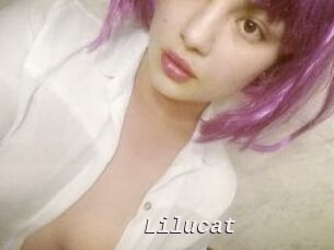 Lilucat