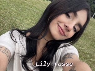 Lily_rosse