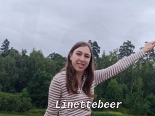 Linettebeer