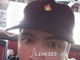 Link323
