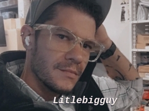 Litlebigguy