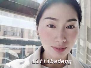 Littlbadegg