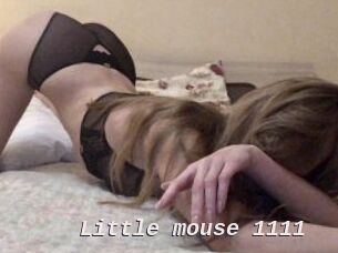Little_mouse_1111