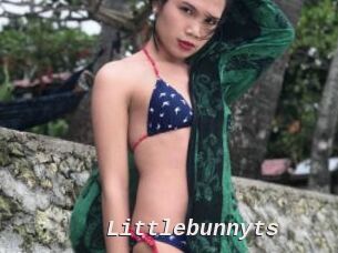 Littlebunnyts