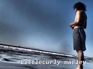 Littlecurly_marley
