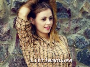 Littlemouuse