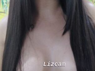 Lizcam