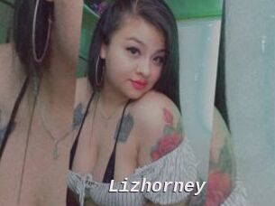 Lizhorney