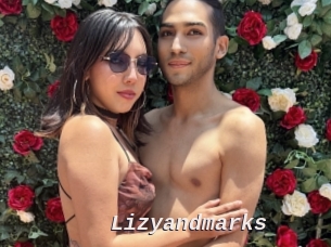 Lizyandmarks