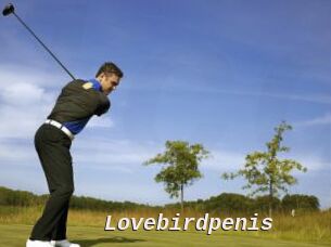 Lovebirdpenis