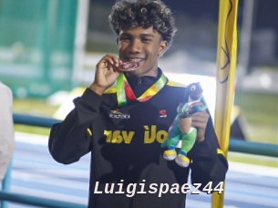 Luigispaez44