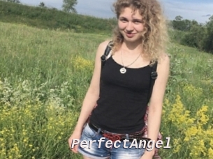 PerfectAngel