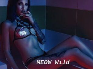 MEOW_Wild