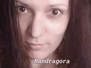 Mandragora