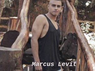 Marcus_Levit