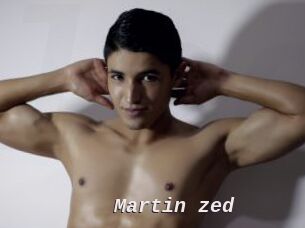 Martin_zed