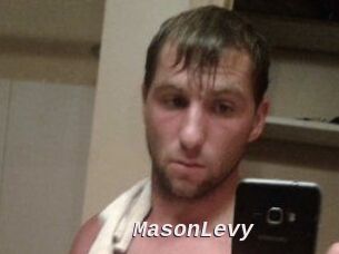 Mason_Levy