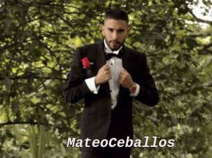 MateoCeballos