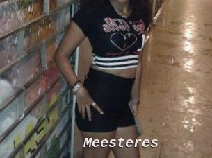 Meesteres