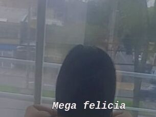 Mega_felicia