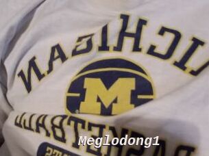 Meglodong1