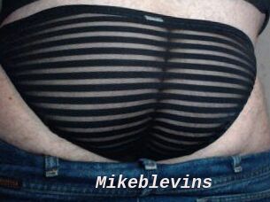 Mikeblevins